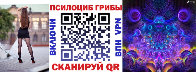 kraken зеркало  Зверево  Псилоцибиновые грибы Cubensis  где продают наркотики 